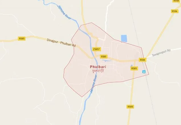 ফুলবাড়ীতে একই পরিবারের ৩ জন দগ্ধ