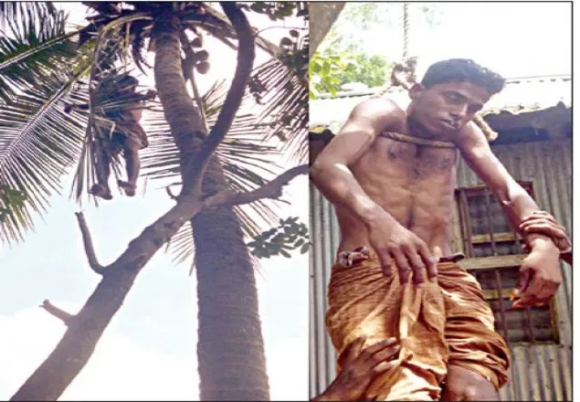 নারিকেল পাড়তে গাছে উঠে অজ্ঞান যুবক 