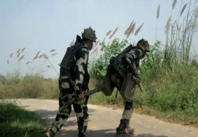 কাশ্মিরে বন্দুকধারীর গুলিতে ২ বিএসএফ নিহত