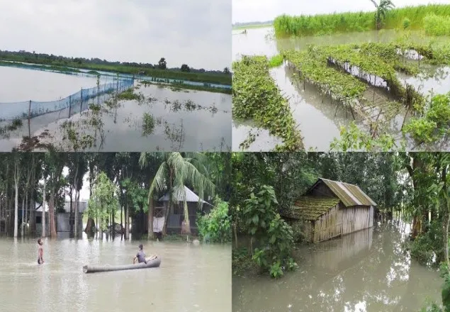 শার্শায় অর্ধশত গ্রাম প্লাবিত, মৎস্য খাতে ক্ষতি ১৫০ কোটি