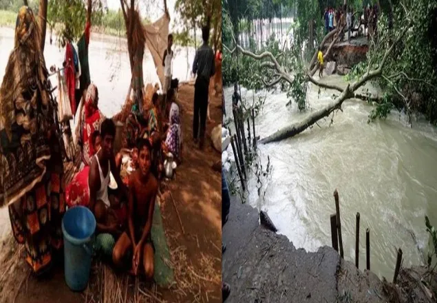 এই ক্ষতি কাটিয়ে উঠতে পারবে কি ?