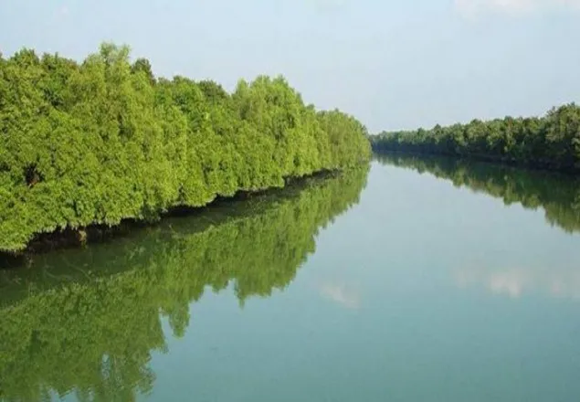 সুন্দরবনে র‌্যাবের সঙ্গে ‘বনদস্যু’দের গোলাগুলি
