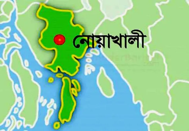 নোয়াখালীতে গভীর রাতে আগুন, অর্ধশতাধিক দোকান ছাই