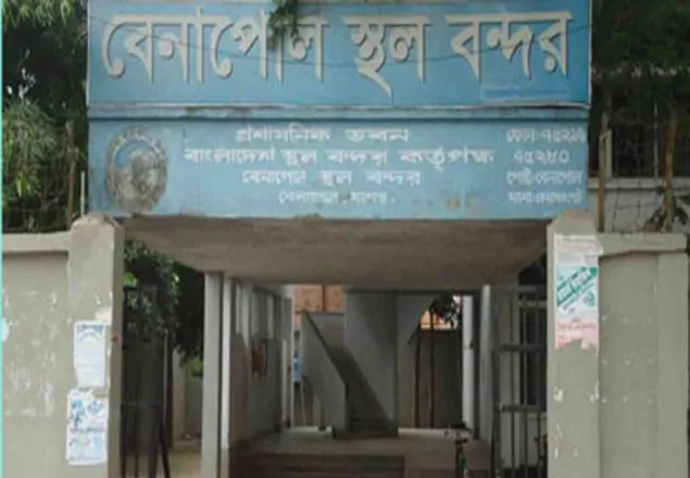 বেনাপোল থেকে ১১০০ বোতল ভারতীয় ফেনসিডিল জব্দ