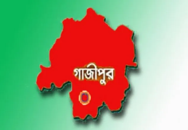 মাওয়ায় বিদ্যুৎস্পৃষ্ট হয়ে মা-ছেলের মৃত্যু
