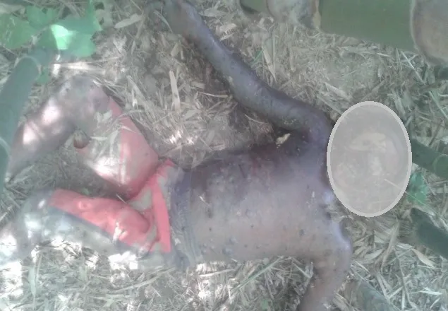 খানসামায় স্কুল ছাত্রের লাশ উদ্ধার