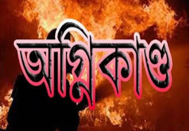 রাজধানীর মিরপুরে একটি ভবনের আগুন