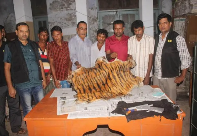 খুলনায় বাঘের চামড়াসহ ৬ ব্যক্তি আটক 