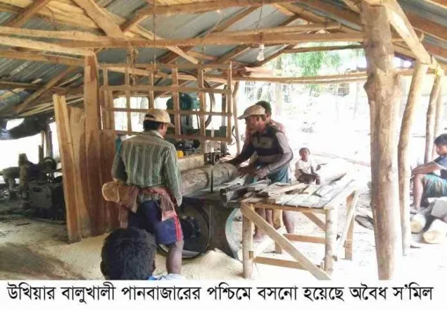উখিয়ায়  বনায়ন ধ্বংসের নেপথ্যে ২৫টি অবৈধ  স’মিল