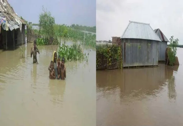 কুষ্টিয়ায় বন্যা পরিস্থিতির চরম অবনতি, তলিয়ে যাচ্ছে ঘর-বাড়ি