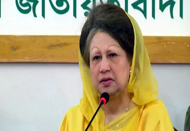 'মুজিব বাকশাল কায়েম করেছে, গণতন্ত্র ফিরিয়েছেন জিয়া' (ভিডিও)