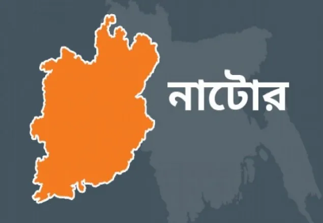 সিংড়ায় প্রতিপক্ষের রডের আঘাতে নিহত ১