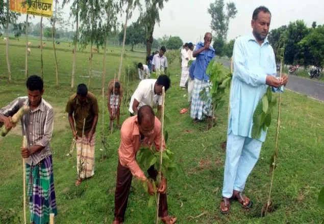 ‘গাছগুলা বড় হইলে হামারে কামোত নাগবে’