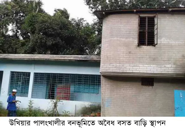 উখিয়ার পালংখালীতে সরকারী বনভূমিতে তৈরী হচ্ছে বহুতল ভবন !