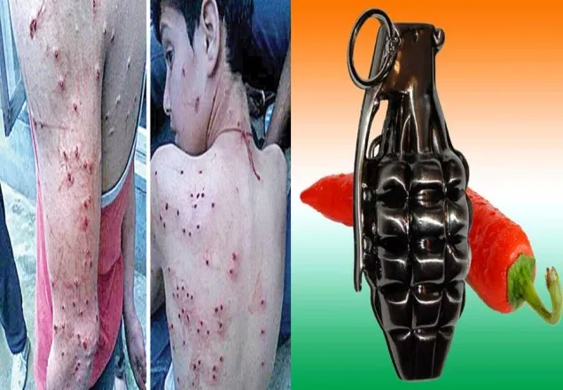 ছররা গুলি না এবার কাশ্মিরে গ্রেনেড ব্যবহার করবে ভারত