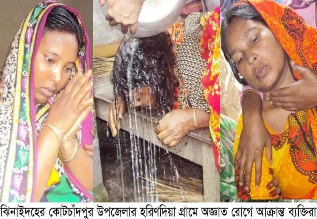 ঝিনাইদহে কথিত জ্বীন সাপের কামড়ে ১ জনের মৃত্যু, ৪ দিনে অসুস্থ ৭০
