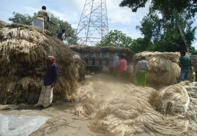 পলিথিনের বিকল্প প্রাকৃতিক আঁশ থেকে উৎপাদিত পণ্য