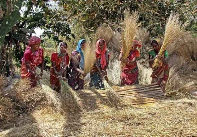 পৃথিবীর সবচেয়ে বড় দাসভূমি ভারত 
