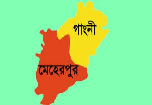 প্রেমিক-প্রেমিকা জুটির আত্মহত্যা