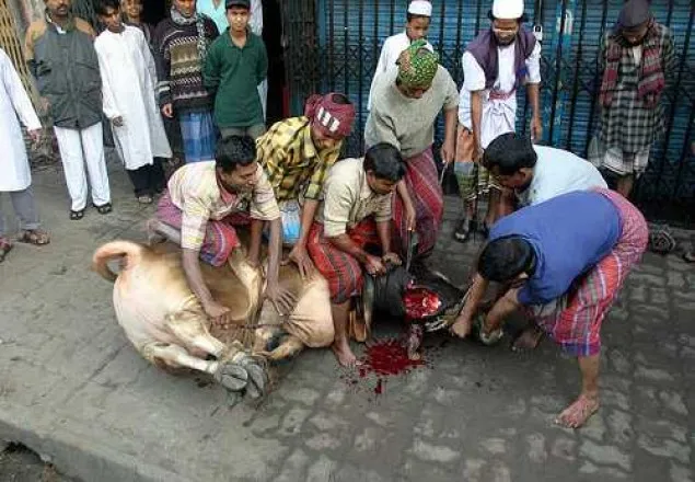 রাজধানীর ১১৫২টি স্থানে পশু কোরবানি