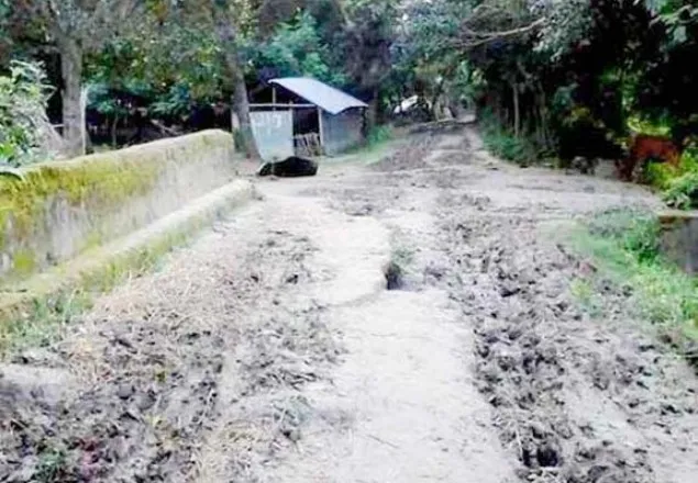 শৈলকুপায় ব্রীজ ভেঙ্গে চরম দূর্ভোগে ১০ গ্রামের মানুষ !