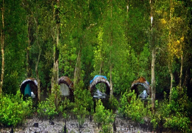 সুন্দরবনে ২০ জেলে অপহৃত, মুক্তিপণ দাবি