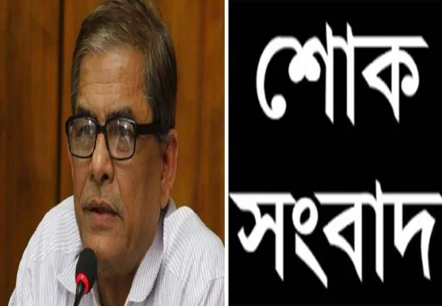 সৈয়দ ইসমাইল ছিলেন একজন মহান দেশপ্রেমিক: ফখরুল 