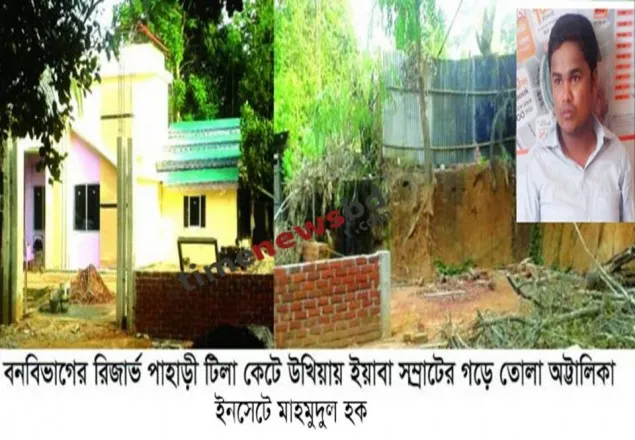কক্সবাজারে ইয়াবা রাজ্যের রাজা যারা!