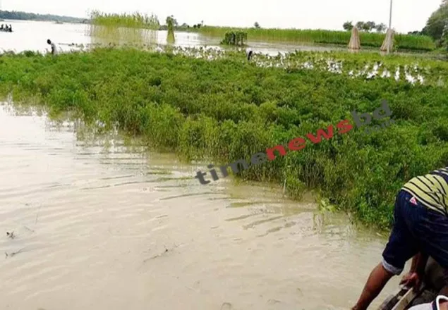 কুষ্টিয়ায় বন্যায় ৯০ লাখ টাকার ফসলের ক্ষতি
