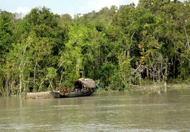 সুন্দরবনে ২৫টি নৌকাসহ ৩০ জেলে অপহরণ