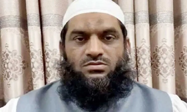 ২ মামলায় মামুনুল হকের জামিন বহাল