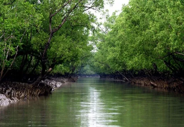 সুন্দরব‌নে র‌্যাব-বনদস্যু গু‌লি‌বি‌নিময়, ৬ জে‌লে উদ্ধার
