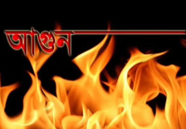 রাজধানীর মহাখালী বনভবনের আগুন নিয়ন্ত্রণে