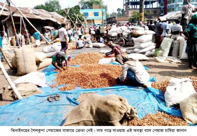ঝিনাইদহে পেঁয়াজের বাজারে ধ্বস, নৈপথ্যে ভারত !
