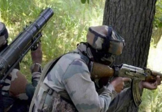 ভারত-পাকিস্তান গোলাগুলি, ২ পাকিস্তানি নিহত 
