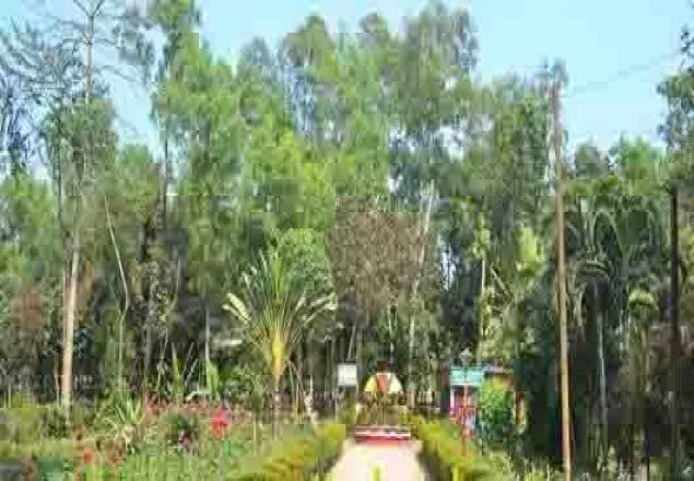 রংপুরে নির্মাণ করা হচ্ছে শিশু পার্ক