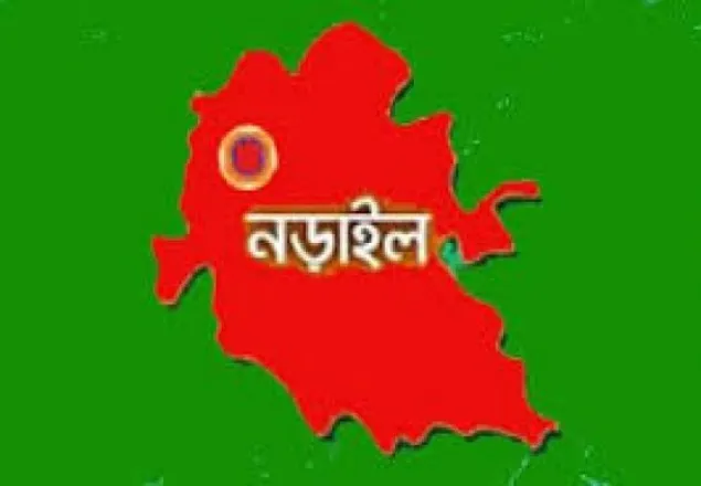 নড়াইলে গৃহপরিচালিকাকে হত্যার অভিযোগ