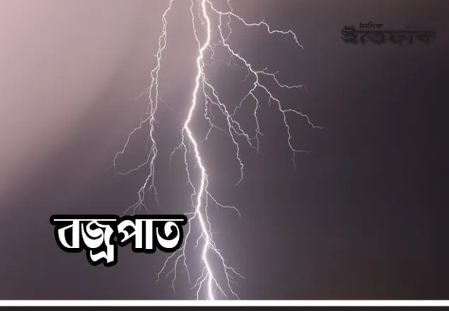 মনপুরায় বজ্রপাতে ২ জেলের মৃত্যু, আহত ২