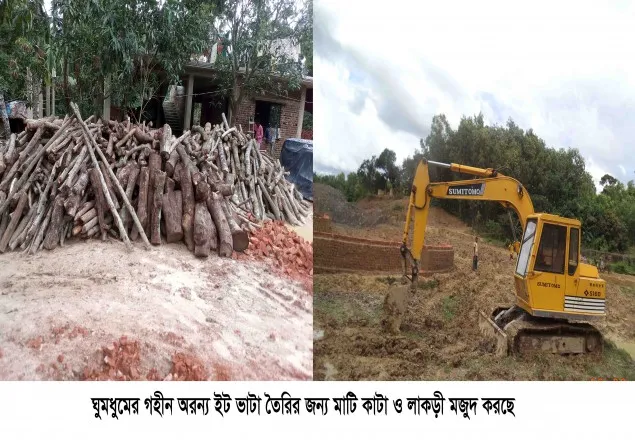 উখিয়ায় প্রশাসনের মদদে চলছে পাহাড় কেটে ইটভাটা