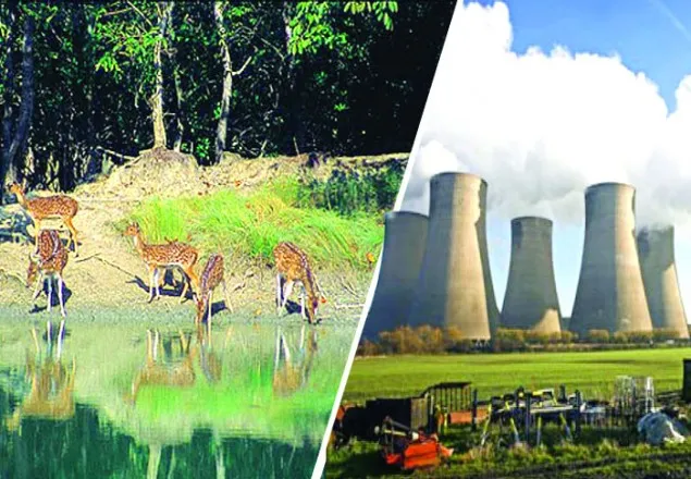 সকল দেশপ্রেমিক রামপাল বিরোধিতা করছে: জামায়াত
