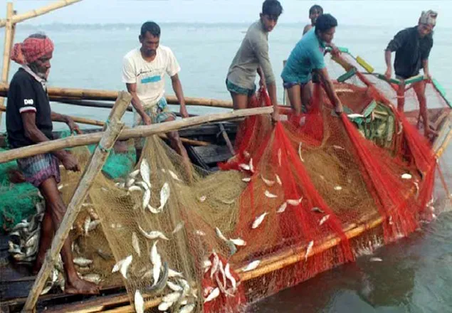 আজ থেকে ইলিশ ধরা ও বিক্রি নিষিদ্ধ
