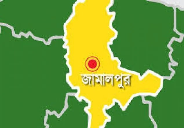 জামালপুরে নৌকা ডুবিতে নিখোঁজ ১, আহত ১০