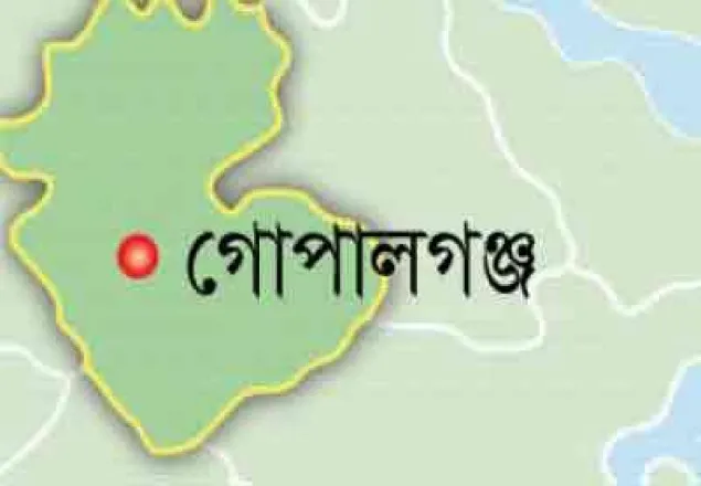 গোপালগঞ্জে ইলিশ বিক্রির দায়ে দুই ব্যবসায়ীর দণ্ড