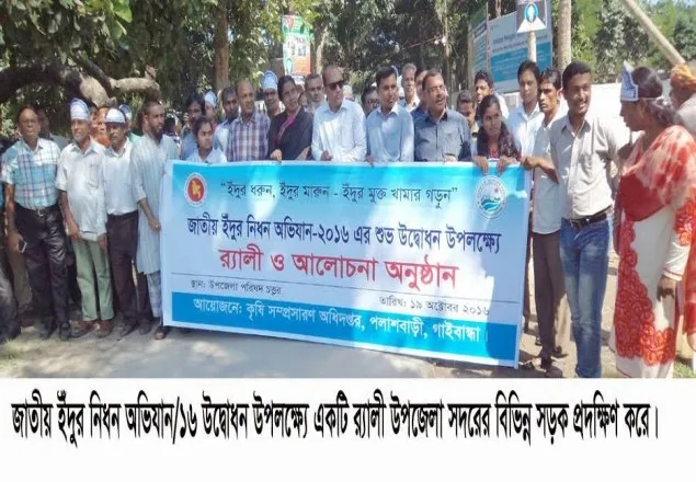 পলাশবাড়ীতে ইঁদুর নিধন অভিযানের উদ্বোধন
