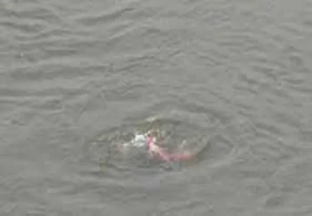 গাইবান্ধায় পানিতে ডুবে শিশুর মৃত্যু