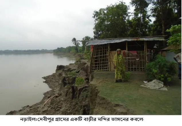 নবগঙ্গা নদীর ভাঙ্গনে  দিশেহারা ৫০টি পরিবার