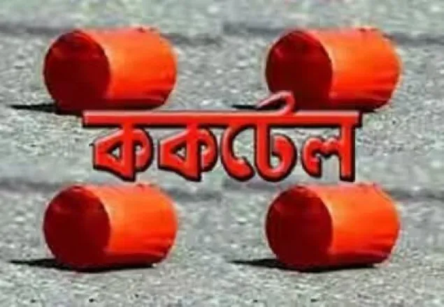 ফেনীর সোনাগাজীতে বিপুল পরিমান ককটেলসহ আটক:৬