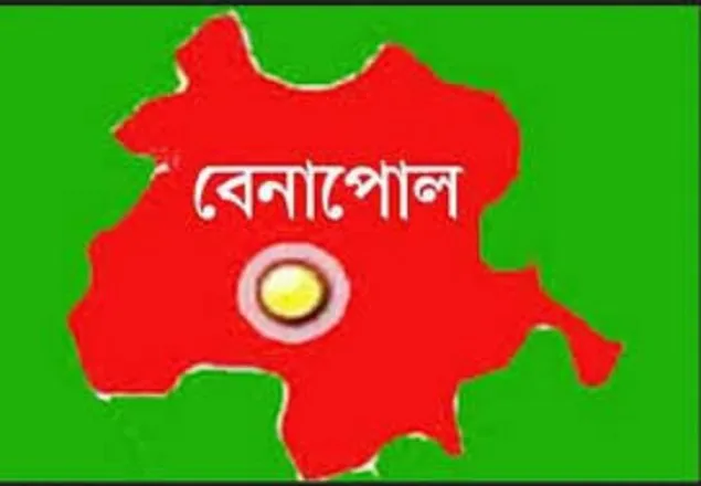 বেনাপোল সীমান্তে ১৫ বাংলাদেশি অনুপ্রবেশকারী আটক