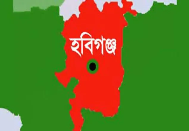 হবিগঞ্জে অস্ত্রসহ গ্রেফতার ২