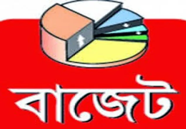 চাটখিল পৌরসভার বাজেট ঘোষণা